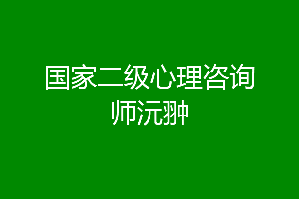国家二级心理咨询师沅翀