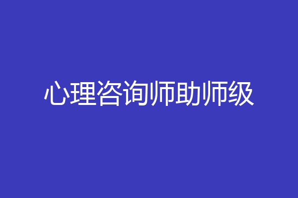 心理咨询师助师级