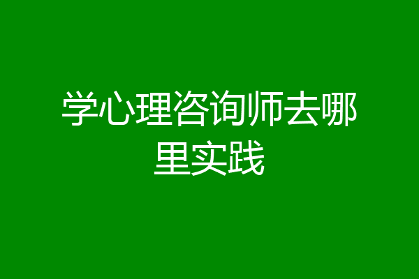 学心理咨询师去哪里实践