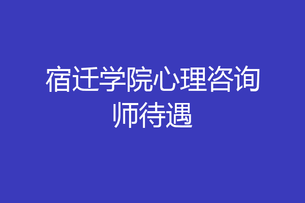 宿迁学院心理咨询师待遇