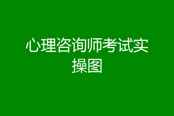 心理咨询师考试实操图