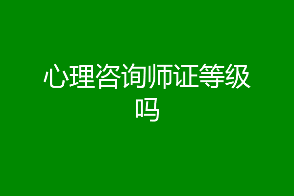 心理咨询师证等级吗