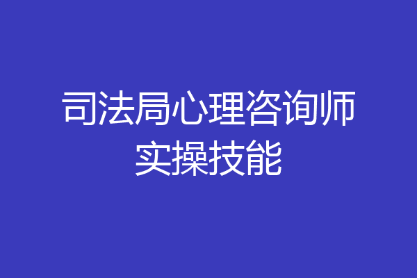司法局心理咨询师实操技能