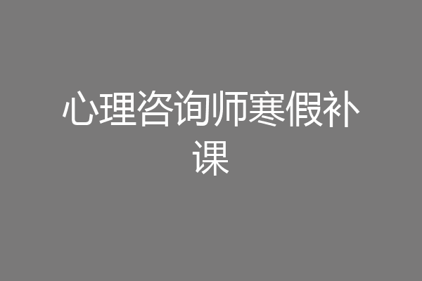 心理咨询师寒假补课