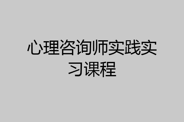 心理咨询师实践实习课程