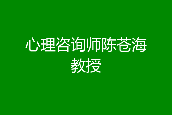 心理咨询师陈苍海教授