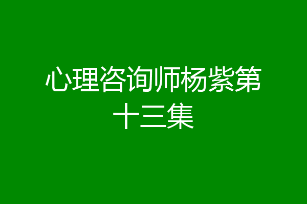 心理咨询师杨紫第十三集