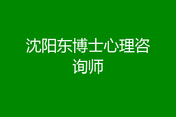 沈阳东博士心理咨询师