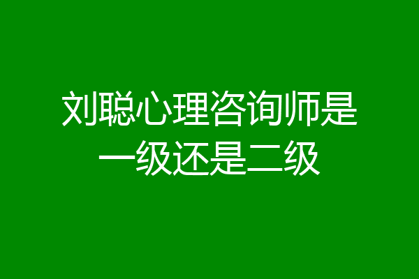 刘聪心理咨询师是一级还是二级