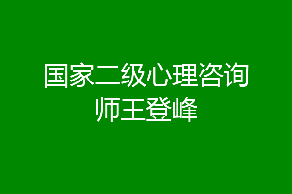 国家二级心理咨询师王登峰