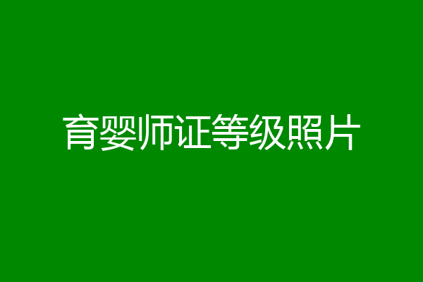 育婴师证等级照片