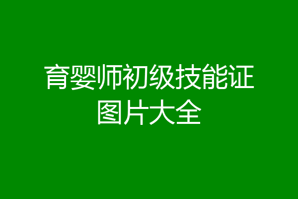 育婴师初级技能证图片大全