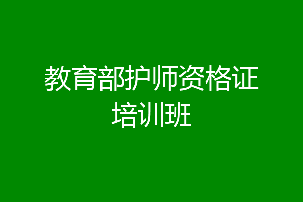 教育部护师资格证培训班