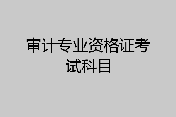 审计专业资格证考试科目
