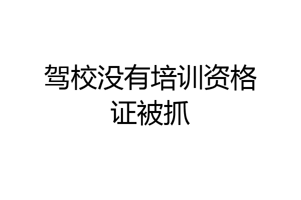 驾校没有培训资格证被抓