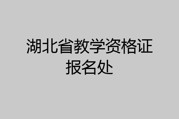 湖北省教学资格证报名处