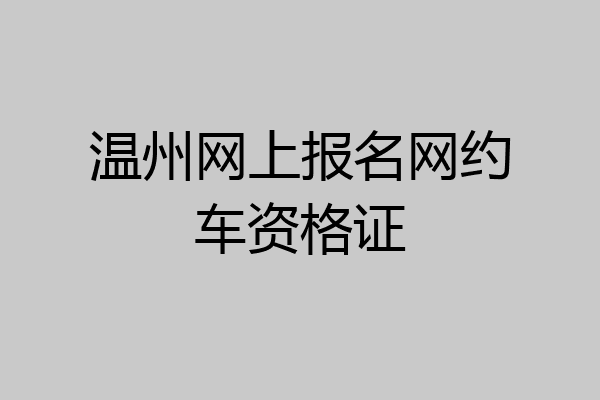 温州网上报名网约车资格证