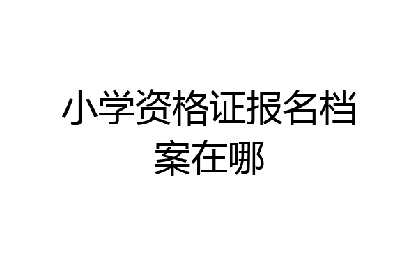 小学资格证报名档案在哪