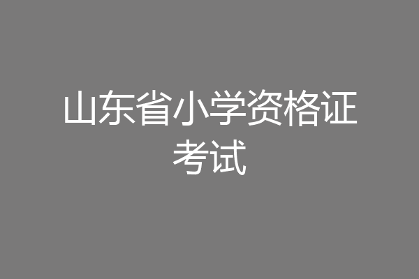 山东省小学资格证考试