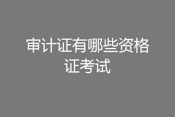 审计证有哪些资格证考试