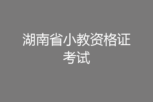 湖南省小教资格证考试