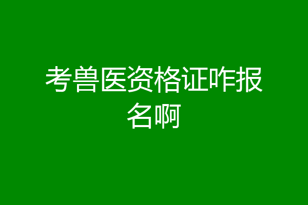 考兽医资格证咋报名啊