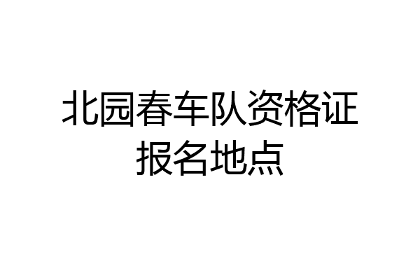 北园春车队资格证报名地点