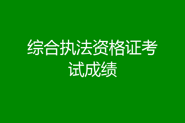 综合执法资格证考试成绩