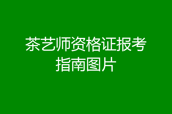 茶艺师资格证报考指南图片