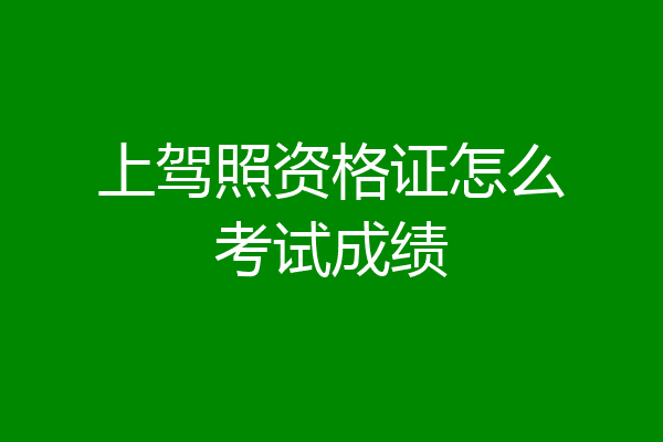 上驾照资格证怎么考试成绩
