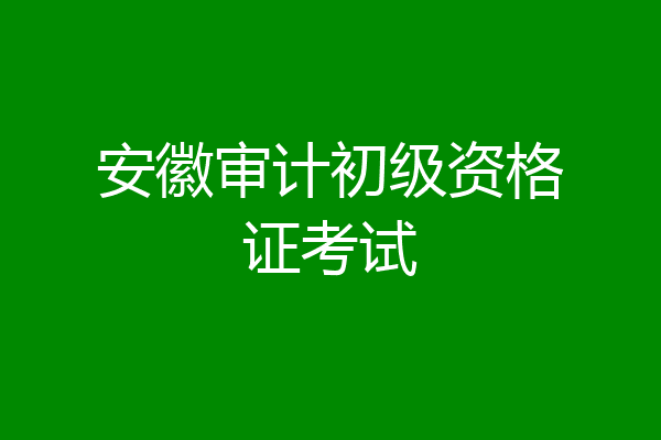 安徽审计初级资格证考试