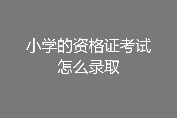 小学的资格证考试怎么录取