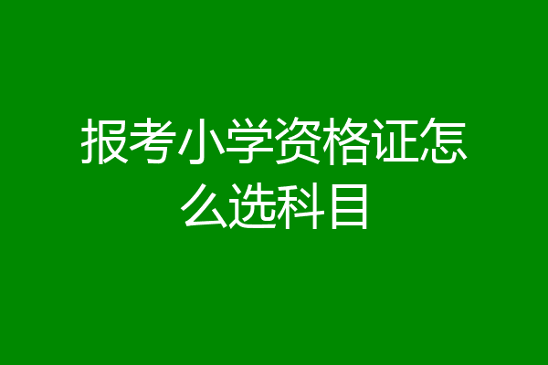 报考小学资格证怎么选科目