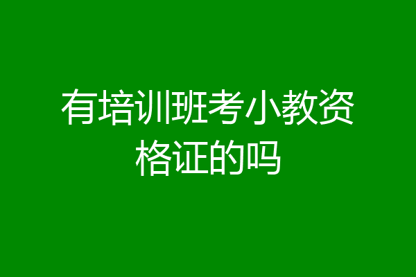 有培训班考小教资格证的吗