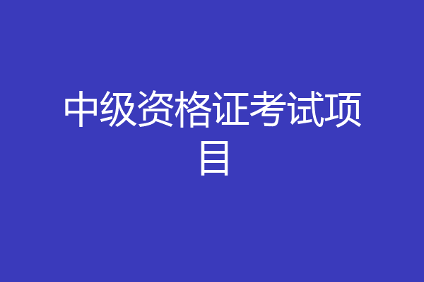 中级资格证考试项目