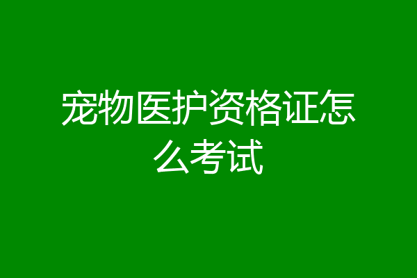 宠物医护资格证怎么考试