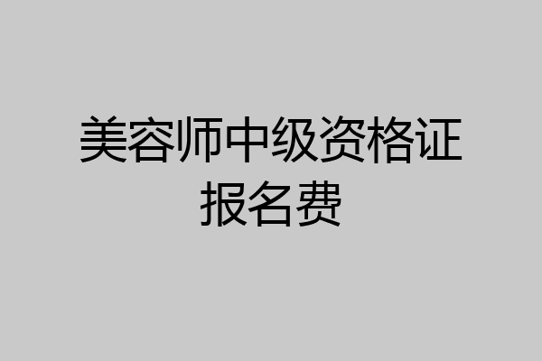 美容师中级资格证报名费