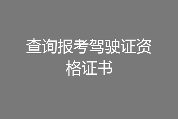 查询报考驾驶证资格证书