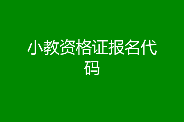 小教资格证报名代码