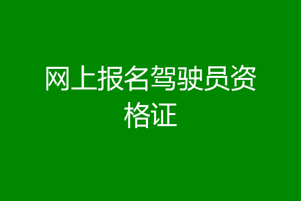 网上报名驾驶员资格证