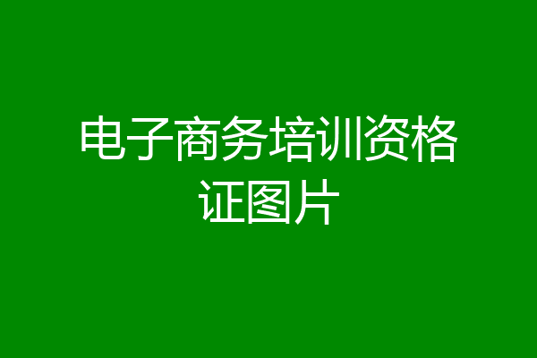 电子商务培训资格证图片