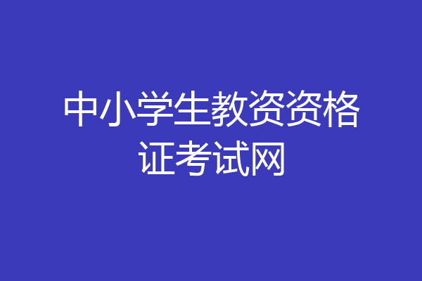 中小学生教资资格证考试网