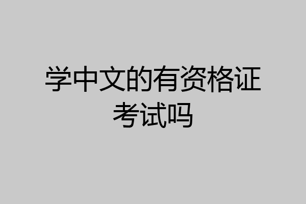学中文的有资格证考试吗