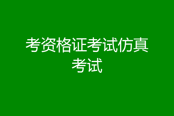 考资格证考试仿真考试