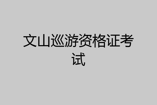 文山巡游资格证考试