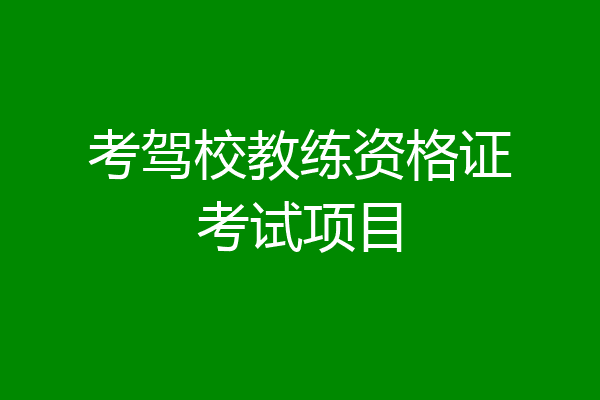 考驾校教练资格证考试项目