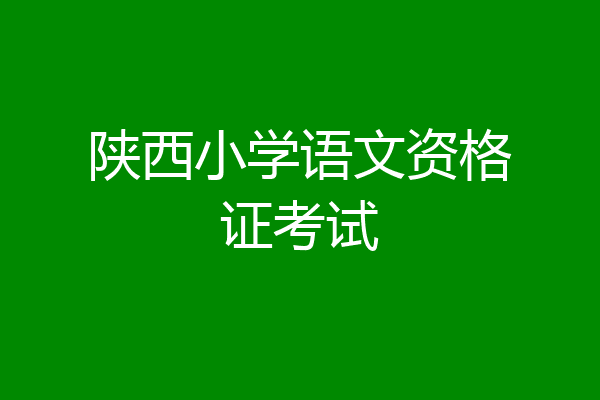 陕西小学语文资格证考试