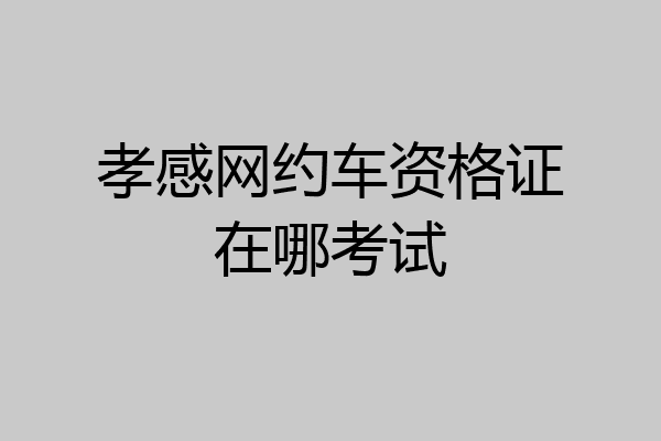 孝感网约车资格证在哪考试
