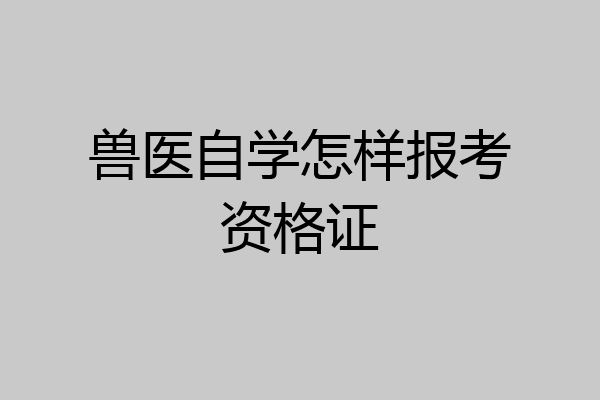 兽医自学怎样报考资格证