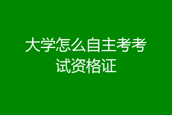 大学怎么自主考考试资格证